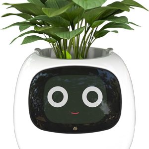 Smart Flowerpots with Artificial Intelligence