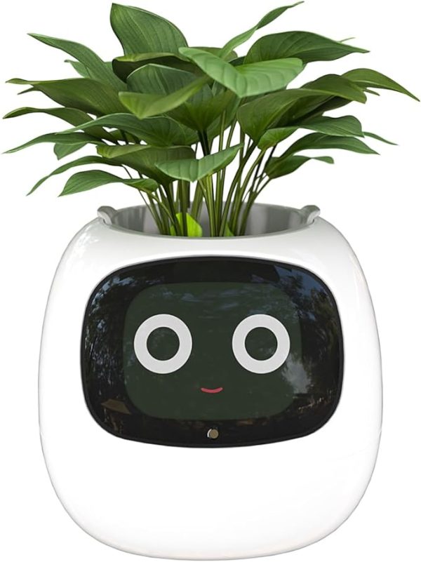 Smart Flowerpots with Artificial Intelligence