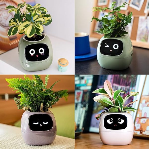 Smart Flowerpots with Artificial Intelligence